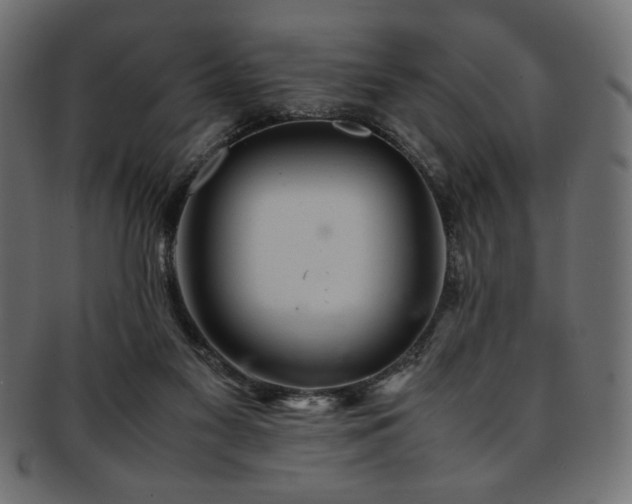 X0000093240117200710031610
