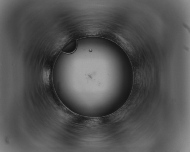 X0000093240118200710031610