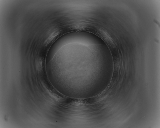 X0000093240120200710031610