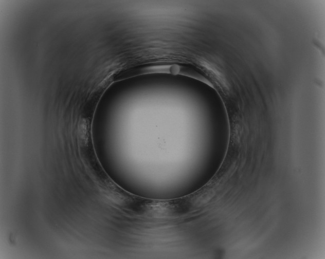 X0000093240121200710031610