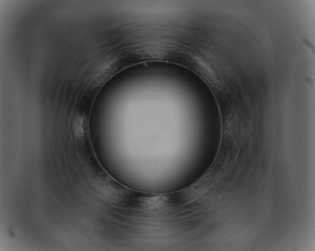 X0000093240122200710031610