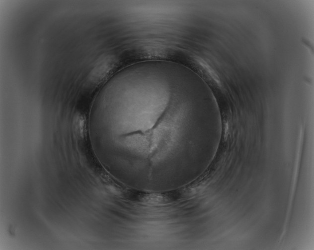X0000093240123200710031610