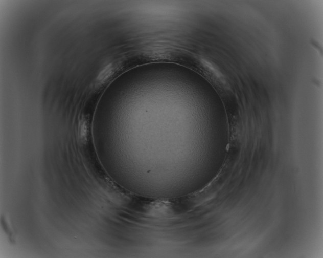 X0000093240124200710031610