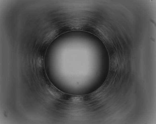 X0000093240126200710031610