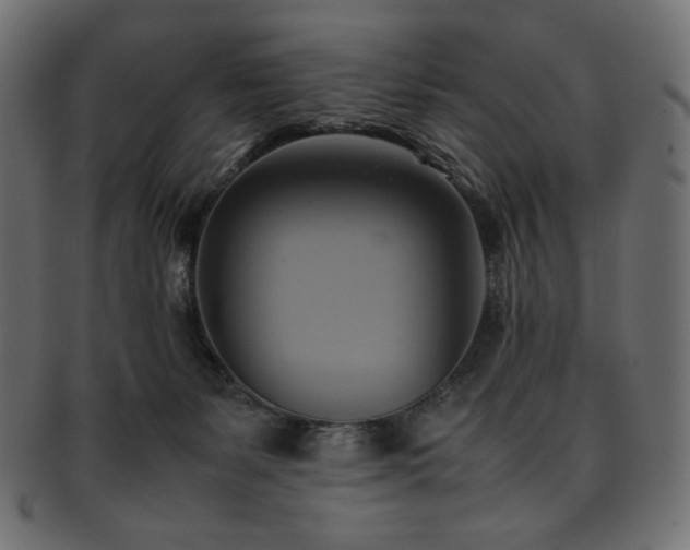 X0000093240127200710031610