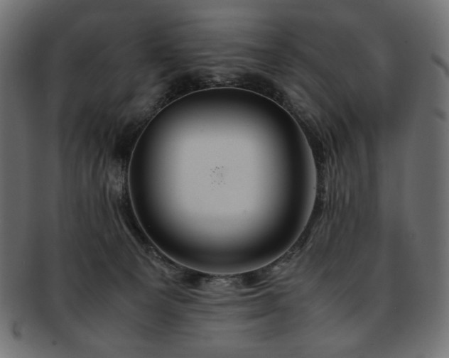 X0000093240129200710031609