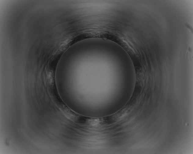 X0000093240131200710031609