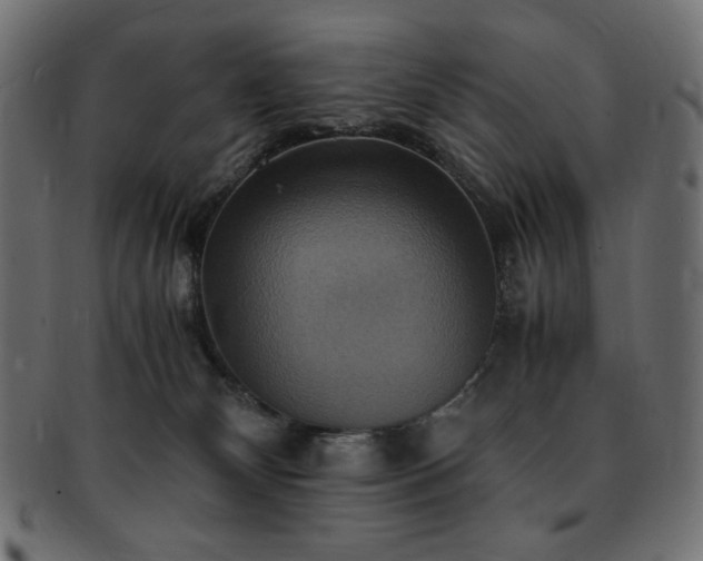 X0000093240132200710031609