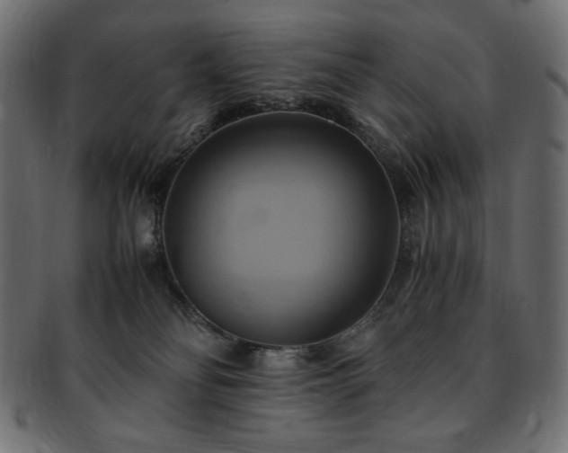 X0000093240134200710031609