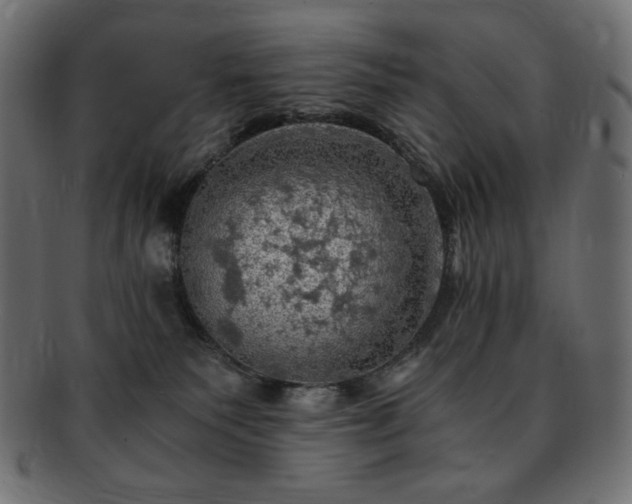 X0000093240135200710031609