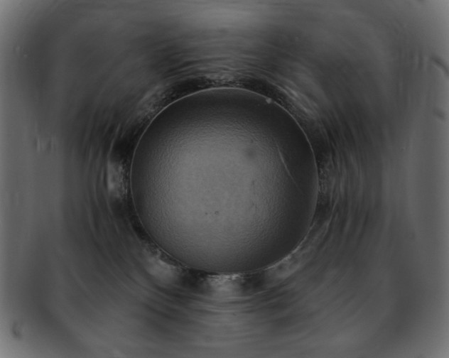 X0000093240136200710031609