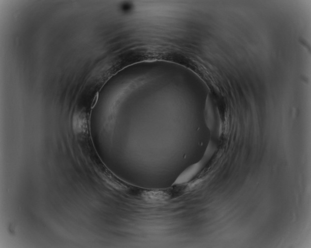 X0000093240137200710031609