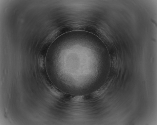 X0000093240138200710031609
