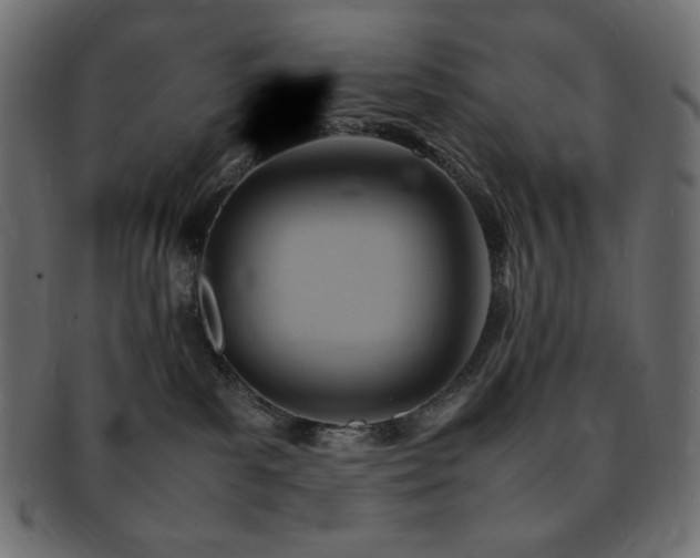 X0000093240139200710031609