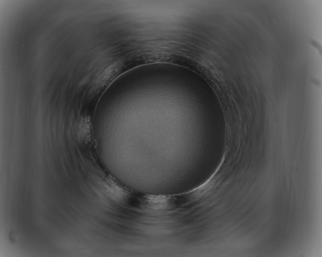 X0000093240144200710031609