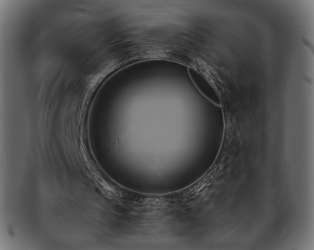 X0000093240145200710031609