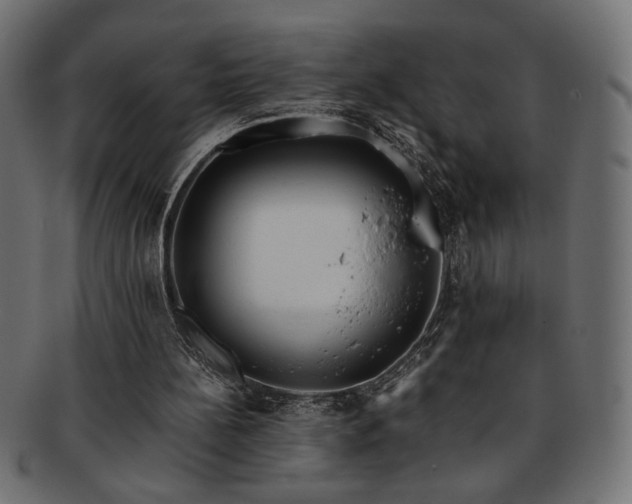 X0000093240148200710031609