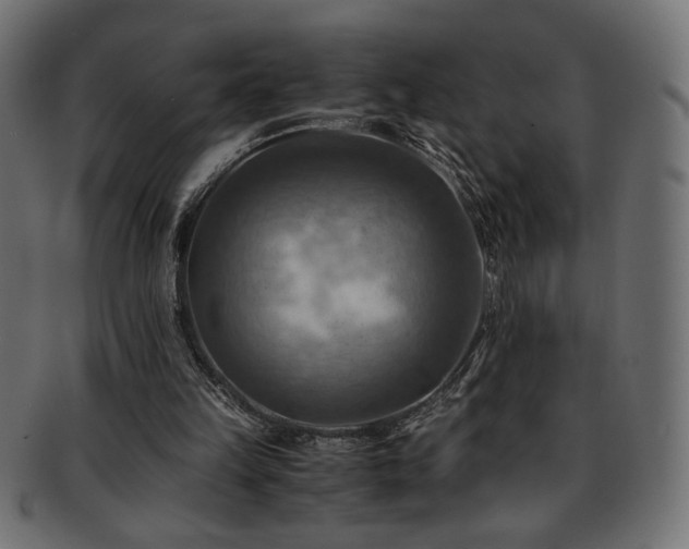 X0000093240149200710031609