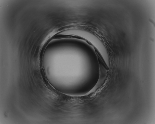 X0000093240150200710031609