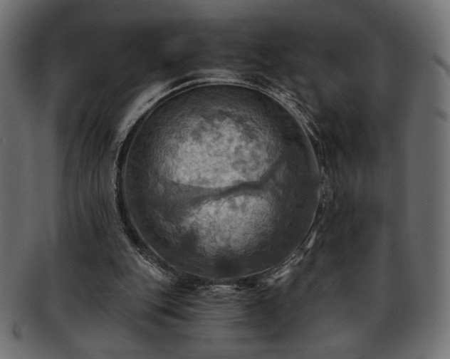 X0000093240151200710031609
