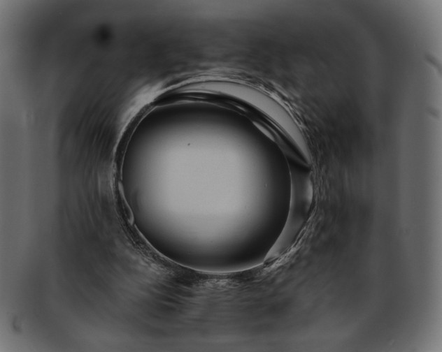 X0000093240152200710031609