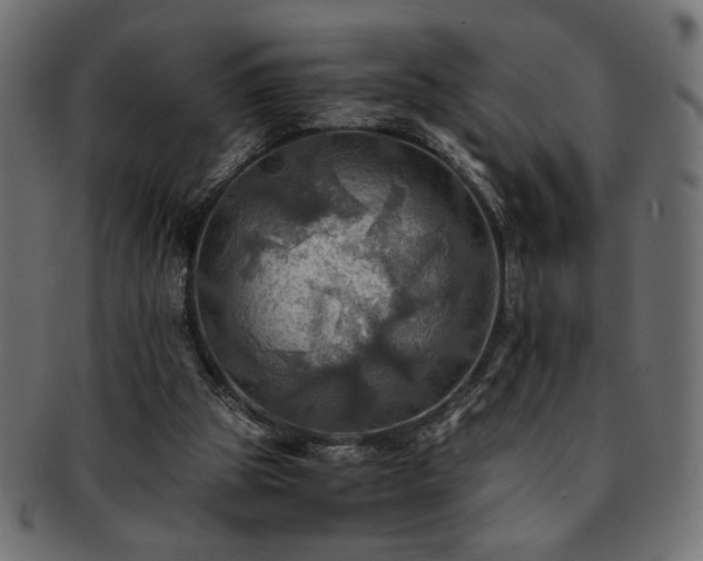 X0000093240153200710031609