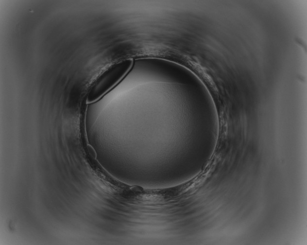 X0000093240154200710031609