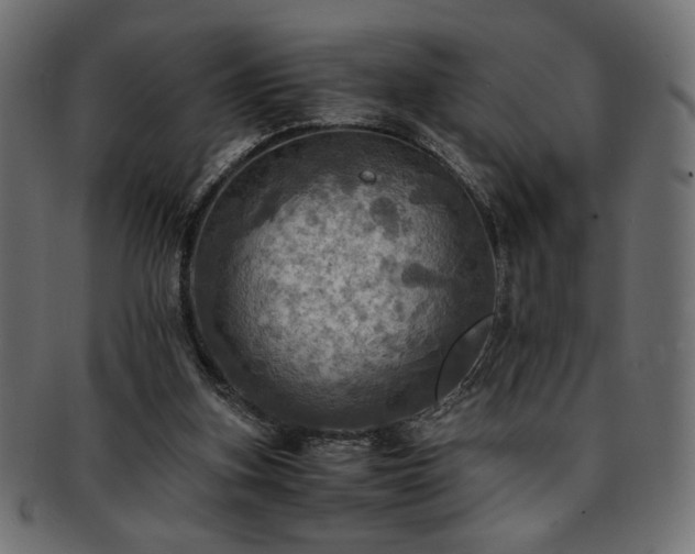 X0000093240155200710031609