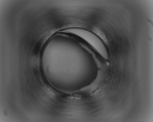 X0000093240156200710031609
