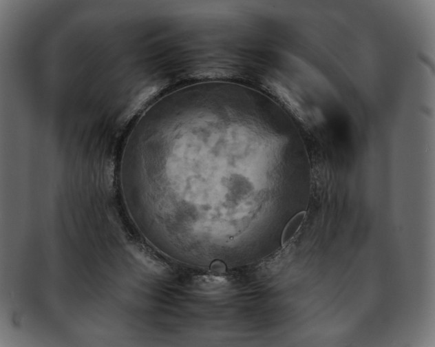 X0000093240159200710031609