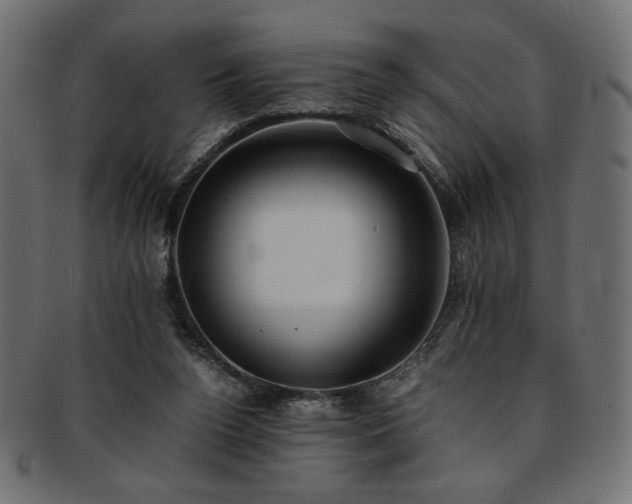 X0000093240160200710031609