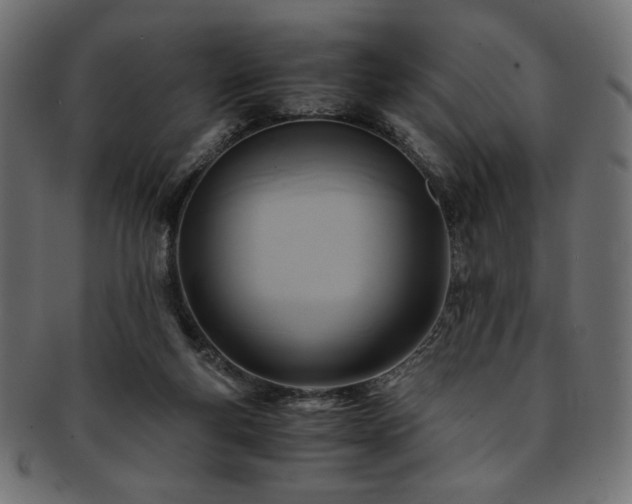 X0000093240163200710031609