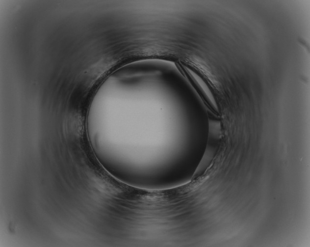 X0000093240164200710031609