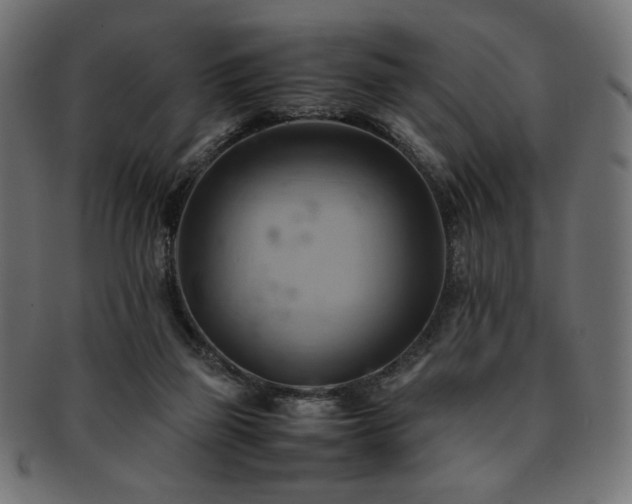 X0000093240165200710031609