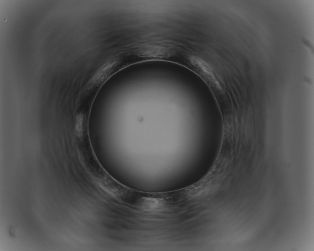 X0000093240167200710031609