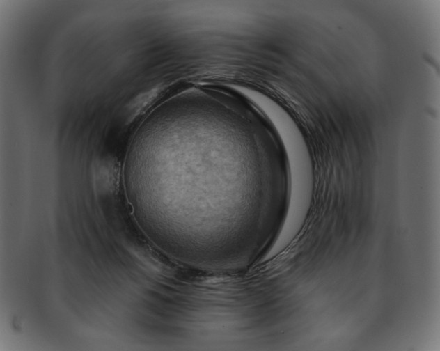X0000093240168200710031609