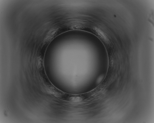 X0000093240169200710031609