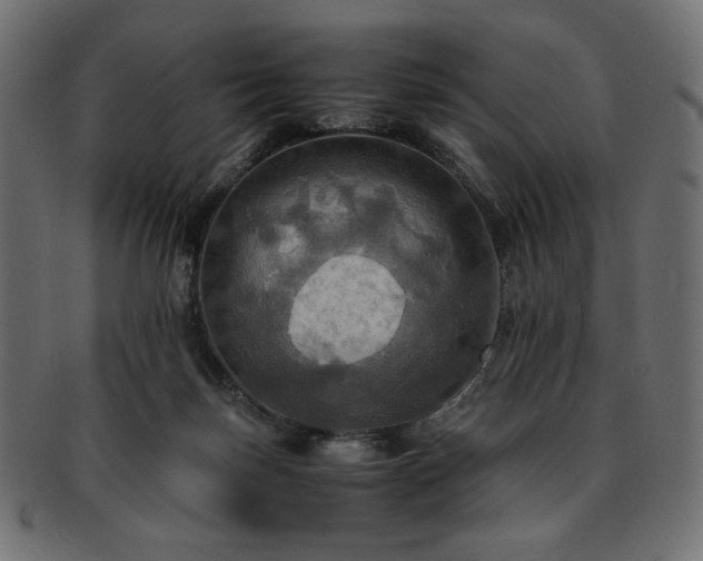 X0000093240171200710031609
