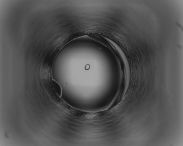 X0000093240172200710031609