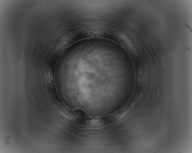 X0000093240173200710031609