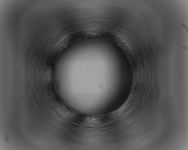 X0000093240174200710031609