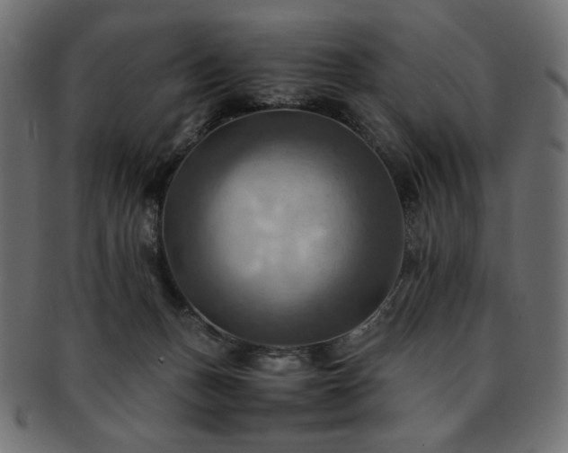 X0000093240175200710031609