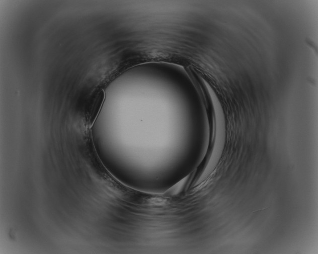 X0000093240176200710031609