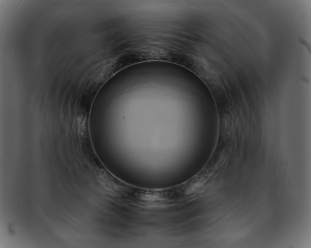 X0000093240177200710031609