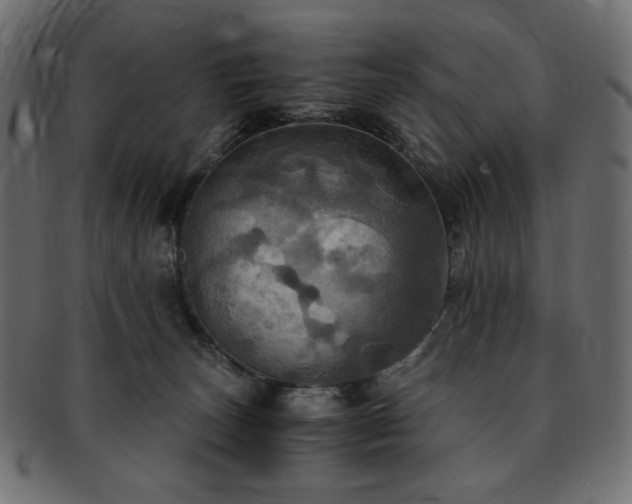 X0000093240179200710031609