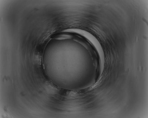 X0000093240180200710031609