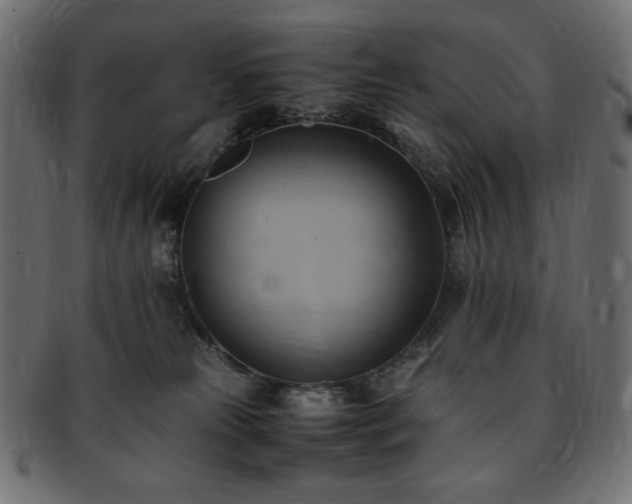 X0000093240181200710031609