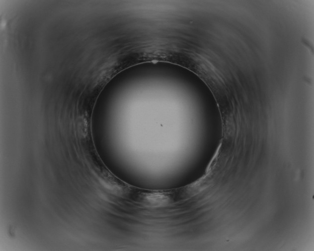 X0000093240183200710031609