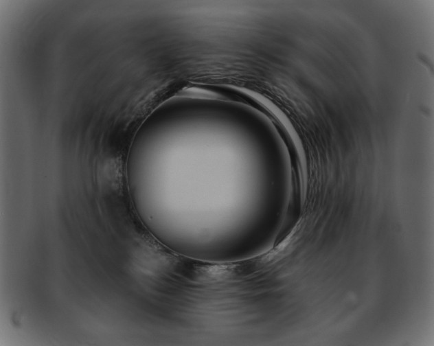 X0000093240184200710031609