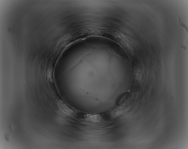 X0000093240185200710031609